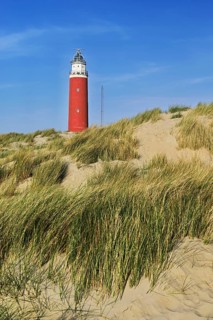 Eierland lighthouse with dunes, De Cocksdorp, Texel, West Frisian Islands, Province of North