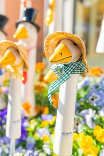 Cheerful duck figures with straw hats in a flower bed, garden and ceramics Nagold, district of