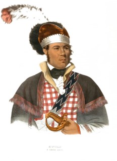 American Indian, Native American, M'Intosh, Chief of the Creek tribe, United States of America,