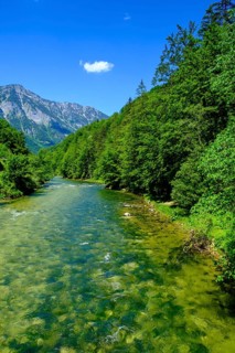 Traun in the Koppental near Obertraun on Lake Hallstatt, Salzkammergut, Upper Austria, Austria
