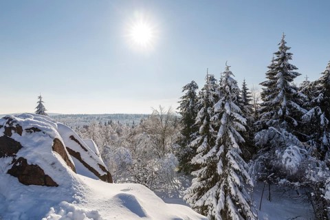 View from Kleiner Lugstein of the sunny winter landscape with snow-covered trees, bushes, trails