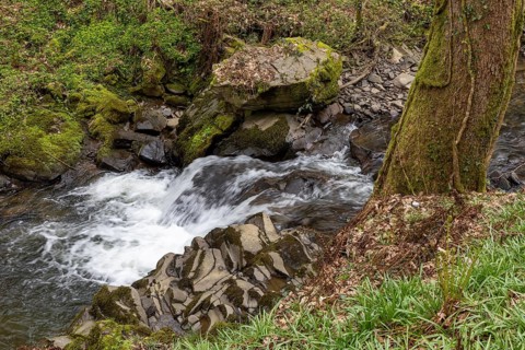 Rapids, Stream, Melincourt Waterfalls Nature Reserve, Melincourt, Neath, Wales, Great Britain