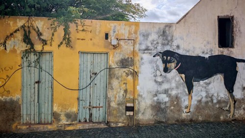 A mural, graffiti, mural of a dog next to a yellow wall with two old wooden doors, Porto Novo,