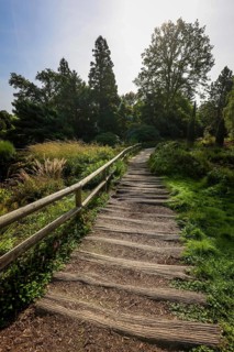 Essen, North Rhine-Westphalia, Germany - Path with wooden planks in the Heide Moor, a park in