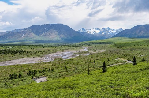 Savage River, tundra and mountainous landscape, Denali National Park, Alaska, USA