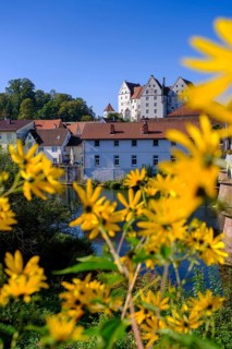 Danube with Scheer Castle, Scheer, Upper Danube nature park Park, Baden-Württemberg, Germany