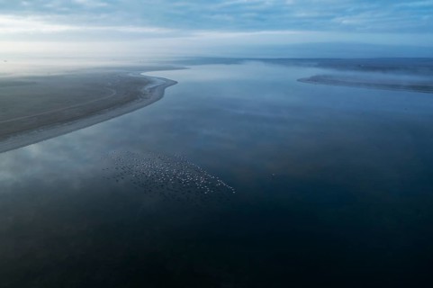 A serene aerial view of a lagoon in Toledo, Spain, with a flock of flamingos scattered across the