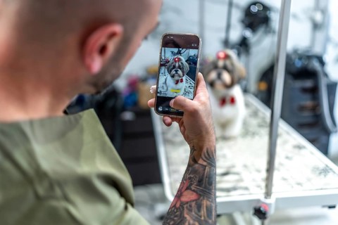Groomer photographing a well groomed shih tzu in a red bow tie and hair clip on a salon table,