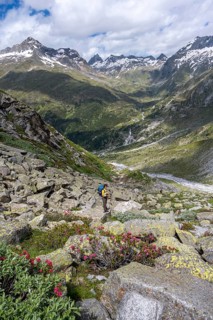 Mountaineer on a hiking trail in front of a picturesque mountain landscape with blooming alpine