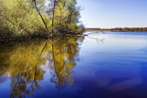 Still lake, Glabbacher Bruch (Krickenbecker Seen) with reflecting trees and calm water surface