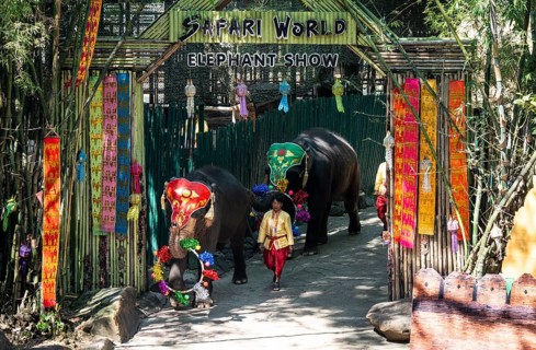 Decorated elephants perform with colorful props as handlers guide them during a live show at Safari