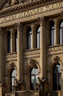 Museum Koenig, Natural History Museum and station of the history trail Weg der Demokratie, Bonn,