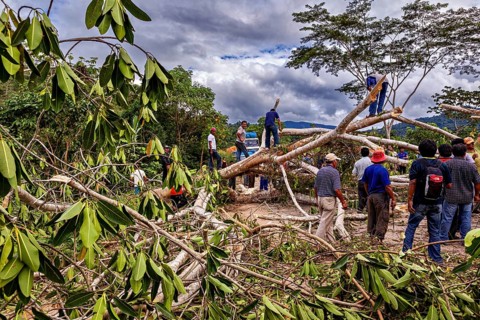 Group of people working together to remove fallen trees under cloudy skies, blocked Yungas Strait