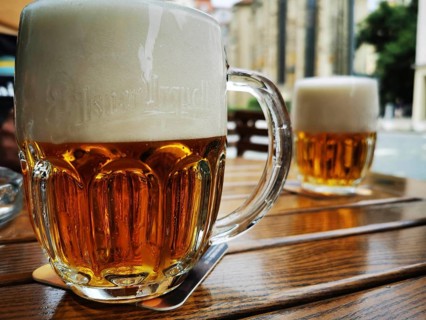 Two gold-colored glasses of beer with Pilsner Urquell inscription with foam crown on a wooden