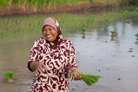 A joyful woman stands in an Indonesian rice field, smiling warmly as she holds a bundle of rice