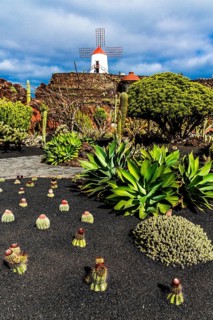 Gofio mill in the Jardin de Cactus with more than 10,000 cacti by Cesar Manrique, Guatiza,
