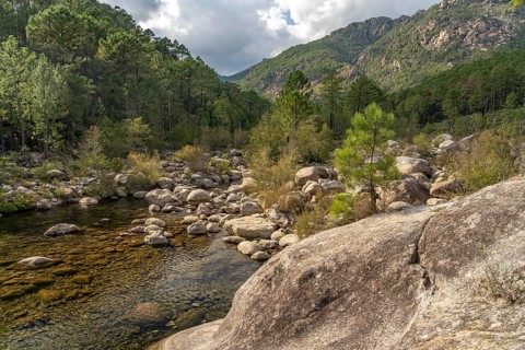 Landscape on the Solenzara River Corsica, France