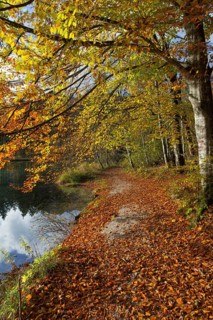 Autumn mood at lake Almsee, Grünau, Austria, Totes Gebirge