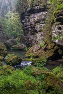 Flowing water with ferns and rocks in the Wild Gorge, river Kamnitz, Hrensko, Ustecky kraj, Czech