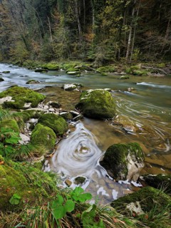 Moss-covered stones on the river Sihl, Sihlsprung, Menzingen, Canton Zug, Switzerland