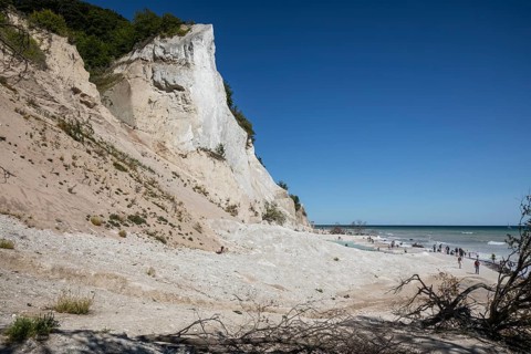 Crowds of tourists walk along the pebble beach beneath the towering white chalk cliffs. The