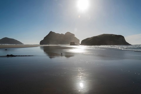 Wharariki Beach, New Zealand, South Peninsula of New Zealand, evening mood, beach, ocean beach,