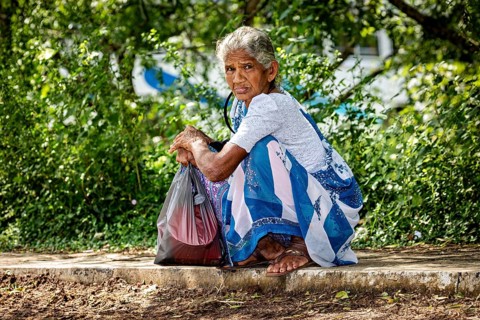 An elderly woman sits thoughtfully in a sari on a sidewalk surrounded by trees, An elderly woman