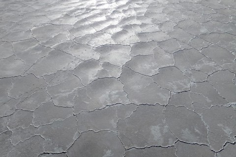 An expansive view of cracked saline mud under the sun's light, highlighting the stark texture and