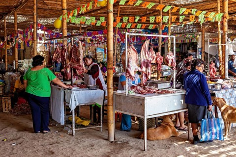 Market scene with meat stalls and visitors decorated with colorful flags and dogs, market and