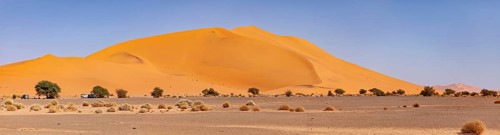 Large sand dune in the desert with scattered trees and bushes in front of a cloudless sky, The sand