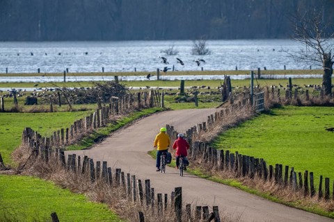 Bislicher Insel, in winter, floods in the floodplains due to Rhine flooding, nature reserve on the