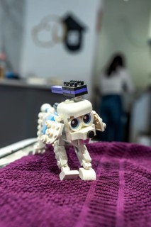 Toy poodle like dog figure made from interlocking plastic bricks standing on a textured purple