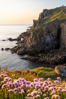 Coastal landscape at Land's End. Flowering sea carnations (Armeria maritima) in the foreground.