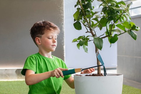 A young boy in a green shirt tends to a potted plant indoors. He uses a garden tool to care for the