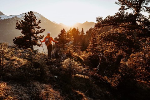 Hiker in the Allgäu at sunset in spring on the Zirmgrat near Pronten in the Allgäu
