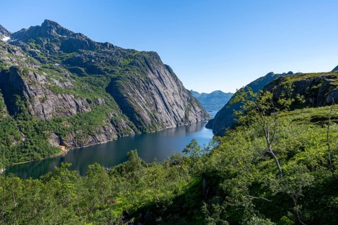View of fjord Trollfjord, fjord landscape with birch forest and mountains, Lofoten, Nordland,