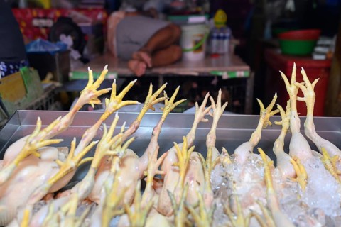 Fresh chickens feet on display at a stall in Khlong Toei Market, Bangkok