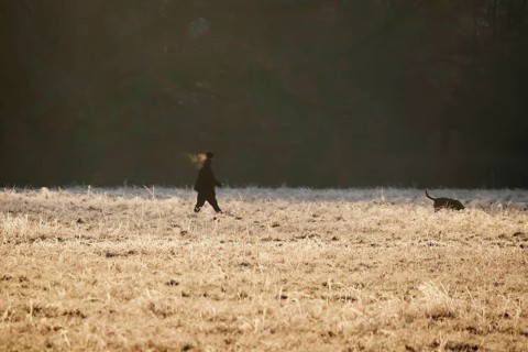 Walk with dog, winter morning, Germany