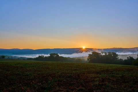 Sunrise over a foggy corn field with hills and trees in the background in a quiet atmosphere,