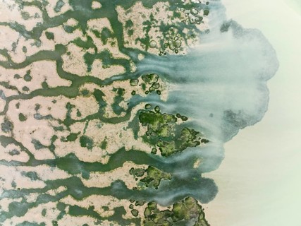 Network of channels and streams at low tide at their confluence with a larger body of water, in the