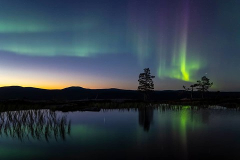 Northern Lights (Aurora borealis) reflected in a mountain lake, Norrbotten, Lapland, Sweden,