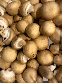 Edible non-toxic collected picked unprocessed raw mushrooms Mushrooms (Agaricus), international
