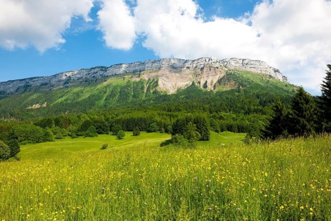 In the background mountainside in the Alps above tree line, visible traces of mountain slide, in