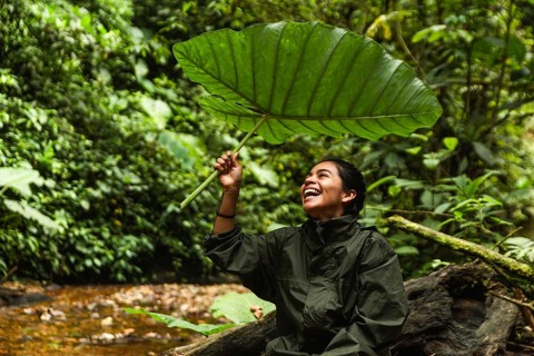 Young Ecuadorian woman enjoys nature under a large leaf in the biodiverse Choco Andino rainforest