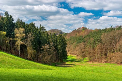 View of hilly landscape with forest and meadow, Leuchtenburg in the back, Seitenroda near Kahla,