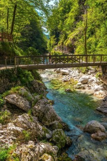 Tourist enjoying breathtaking view of tolmin gorges in slovenia, walking on a wooden bridge over a