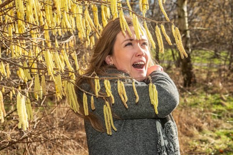 Young Caucasian woman with allergy problem stands by flowering hazel bush and sneezes in the crook