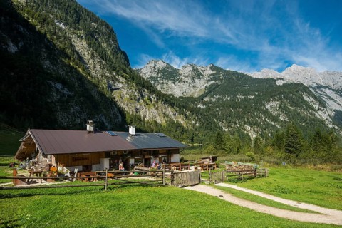 Mooskaser Saletalm, Königssee, Schönau, Berchtesgaden National Park, Berchtesgadener Land, Upper