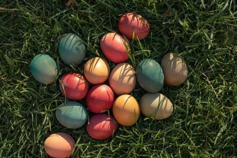 A collection of colorful easter eggs is displayed on lush green grass, capturing the festive spirit