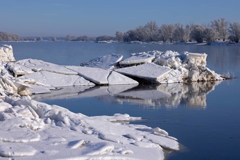 Ice floes, trees, wintery Elbe near Bleckede, Lower Saxony, Germany